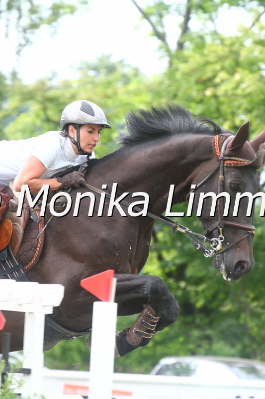 308M4183_Castella de Luca_Zwei Phasen Sx.JPG